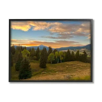 Stupell Industries Montana Sunset Forest Clearing By Emily Navas - Floater Frame Photograph On Wood In Midnight Black Framed Giclee