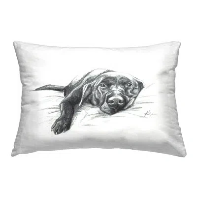 Stupell Industries Naptime Black Labrador Design By Lindsay Kivi Fine Art Throw Pillow In White