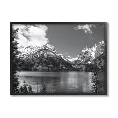 Stupell Industries Nature Pond Landscape - Single Picture Frame Print On Wood In Midnight Black Framed Giclee