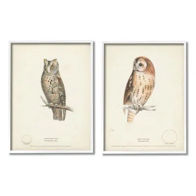Stupell Industries Owl Breeds Latin Study Page Detailed Bird Animal By - 2 Piece Floater Frame Graphic Art Set On Canva In Coastal White Framed Giclee