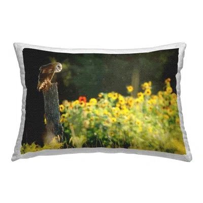 Stupell Industries Owl Perched In Meadow Outdoor Printed Pillow By Carrie Ann Grippo-pike In Green