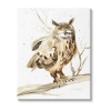 Stupell Industries Owl Perched In Tree Canvas Art In Brown