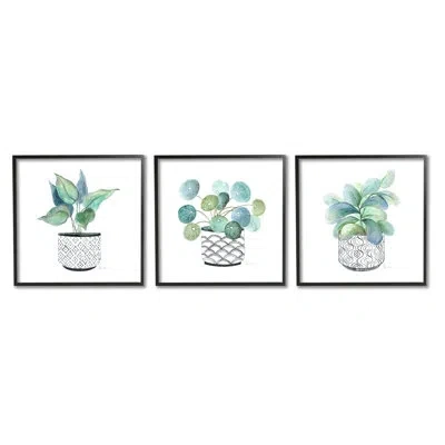 Stupell Industries Patterned Planter Vase Lush Blooming Green Leaves By Tava Studios - 3 Piece Floater Frame Graphic Ar In Midnight Black Framed Giclee