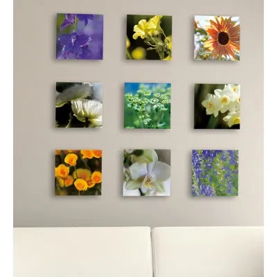 Stupell Industries Photographic Flowers 9 Piece Photographic Print Canvas Set