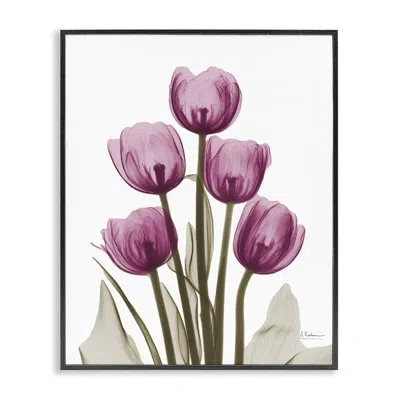 Stupell Industries Pink X-ray Tulips On Canvas Photograph In Midnight Black Framed Giclee