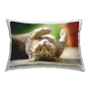 Stupell Industries Polyester Lumbar Rectangular Indoor/outdoor Pillow Cover & Insert By Jonathan Casey In Tan
