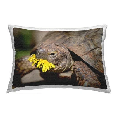 Stupell Industries Polyester Lumbar Rectangular Indoor/outdoor Pillow Cover & Insert By Jonathan Casey In Brown