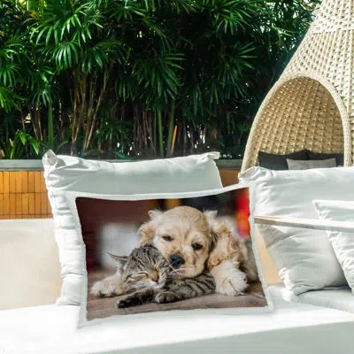 Stupell Industries Polyester Lumbar Rectangular Indoor/outdoor Pillow Cover & Insert By Peter Cech In Multi-color
