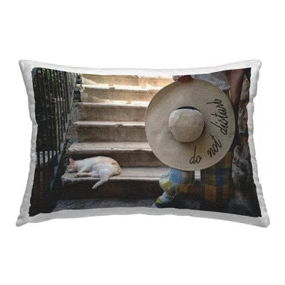 Stupell Industries Polyester Throw Rectangular Indoor/outdoor Pillow Cover & Insert By Tilman Wagner In Tan