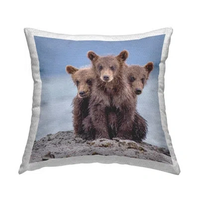 Stupell Industries Polyester Throw Square Indoor/outdoor Pillow Cover & Insert By Paolo Mignosa In Brown