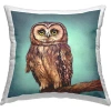 Stupell Industries Polyester Throw Square Pillow Cover & Insert