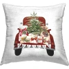 Stupell Industries Polyester Throw Square Pillow Cover & Insert
