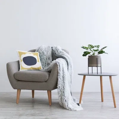 Stupell Industries Polyester Throw Square Pillow Cover & Insert By Deborah Velasquez