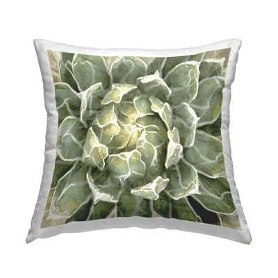Stupell Industries Polyester/polyester Blend Throw Square Pillow Cover & Insert By Lindsay Benson
