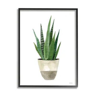 Stupell Industries Potted Aloe Plant Casual By Rachel Nieman - Floater Frame Graphic Art On Wood In Midnight Black Framed Giclee