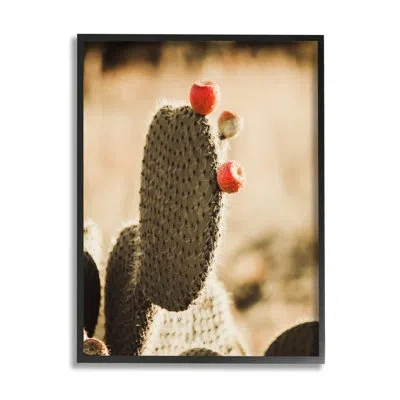 Stupell Industries Prickly Pear Cactus Fruits By Krista Broadway - Floater Frame Photograph On Wood In Midnight Black Framed Giclee