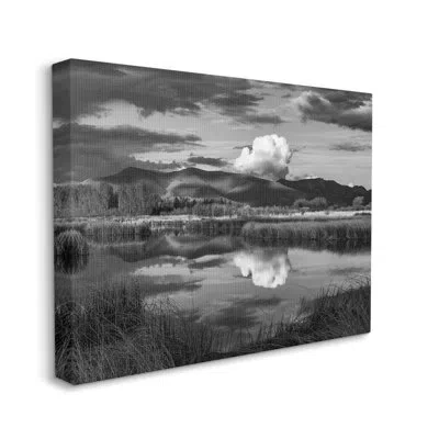 Stupell Industries Puffy Cloud Over Mountain Grassy Marsh Landscape By Steve Smith - Floater Frame Photograph On Canvas In Wrapped Canvas