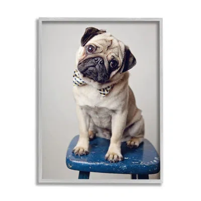 Stupell Industries Pug Bow Tie Blue Stool Pet Portrait Photography Oversized White Framed Giclee Texturized Art By Mich In Farmhouse Gray Framed Giclee