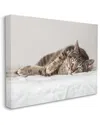 Stupell Industries Relaxed Pet Feline Cat Nap Green Eyes Stretched Canvas Wall Art By Marika Moffit In Grey