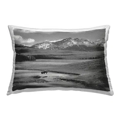 Stupell Industries Rural Country Bison Outdoor Printed Pillow By Steve Toole In Black;white