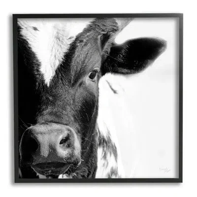Stupell Industries Rural Farm Cow Stunning Up Close By Jennifer Pugh - Floater Frame Photograph On Wood In Midnight Black Framed Giclee
