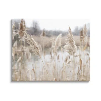 Stupell Industries Rural Pampas Grass Reeds Lakeside Pond Marsh By Kim Allen - Floater Frame Photograph On Canvas In Wrapped Canvas