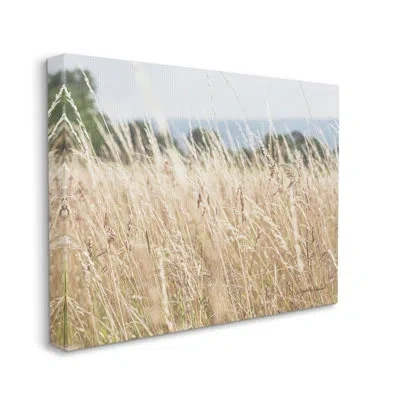 Stupell Industries Rural Wheat Field Spring Breeze By Elizabeth Urquhart - Wrapped Canvas Photograph In Beige