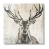 Stupell Industries Rustic Deer Elk Wildlife Portrait Canvas Art In Sand