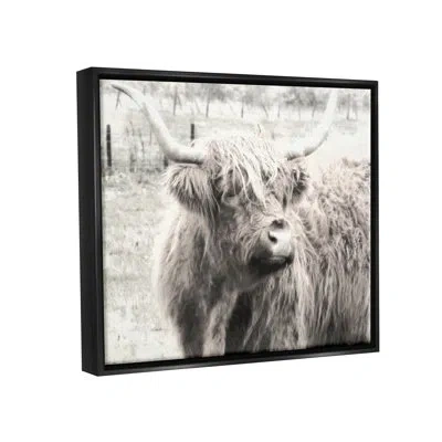 Stupell Industries Rustic Farm Highland Cattle Cow Monochrome Photography By Graffitee Studios - Floater Frame Print On In Jet Black Floater Frame
