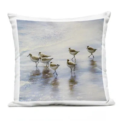 Stupell Industries Sand Dancers On Shore Outdoor Printed Pillow, Design By Bruce Nawrocke, 18 X 7 X 18 In Blue
