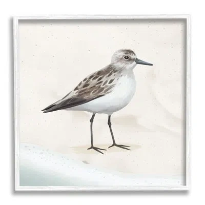 Stupell Industries Sandpiper Bird At Water's Edge Beach Shoreline By Lucca Sheppard - Floater Frame Graphic Art Print O In Brown;white;beige