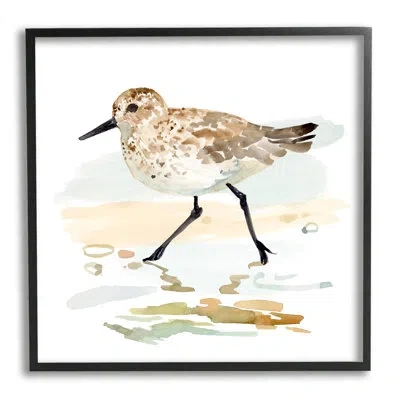 Stupell Industries Sandpiper Stepping On Shore By Victoria Barnes - Floater Frame Print On Canvas In Midnight Black Framed Giclee