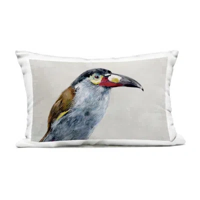 Stupell Industries Sea Biscuit Portrait Outdoor Printed Pillow Design By Jacob Q In White Toucan