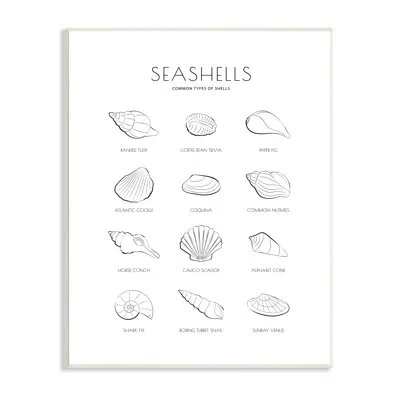 Stupell Industries Seashell Guide For Common Shells Minimal Nautical Chart In Wood