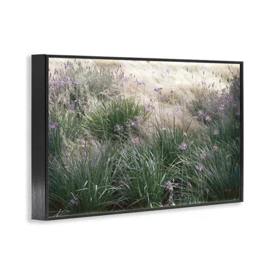 Stupell Industries Secret Garden Meadow Blooms Framed Giclee Art, Design By Deborah Revell In Midnight Black Framed Giclee