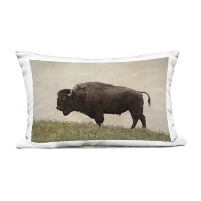 Stupell Industries Serene Buffalo On Country Hill Design By Steve Toole Outdoor Printed Pillow In Brown