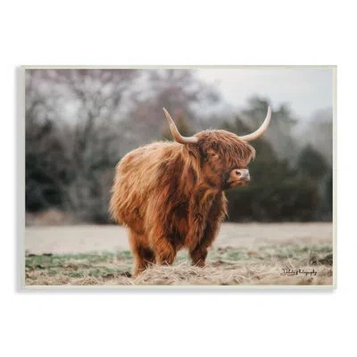 Stupell Industries Serene Highland Cattle Rural Pasture Daylight Sun Wall Plaque Art By Dakota Diener In Brown;gray