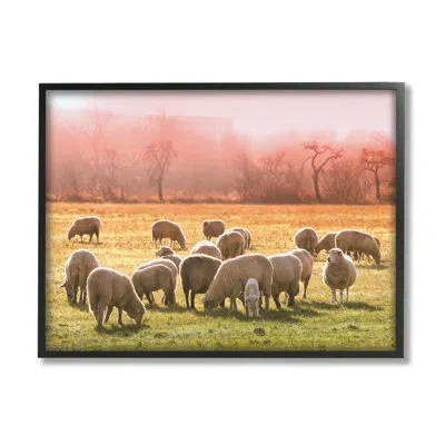 Stupell Industries Sheep Herd Grazing Warm Pink Sunset Rural Grassland By Daphne Polselli - Floater Frame Photograph On In Midnight Black Framed Giclee