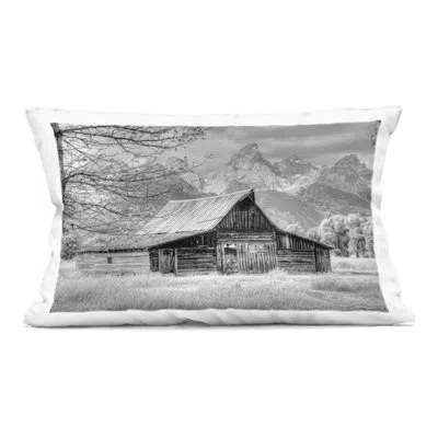 Stupell Industries Sign Of The Feather Barn Landscape Decorative Printed Throw Pillow, Design By Jadei Graphics In Gray