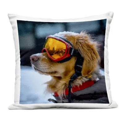 Stupell Industries Ski Goggles Dog Outdoor Printed Pillow, Design By Sean Parnell In Gray