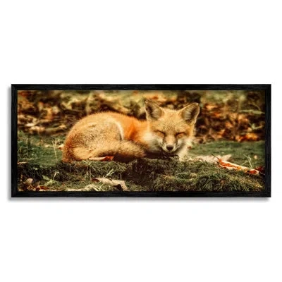 Stupell Industries Sleeping Fox Kit Peaceful Forest Floor Lush Nature By Carrie Ann Grippo-pike - Floater Frame Photogr In Midnight Black Framed Giclee