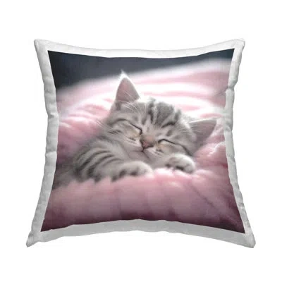Stupell Industries Soft Sleeping Kitten Decorative Printed Throw Pillow By Roozbeh In Gray;beige;pink