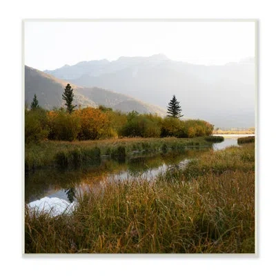 Stupell Industries Soothing Grassy Bog Stream Mountains Landscape By Carol Robinson - Photograph In Wall Plaque