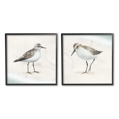 Stupell Industries Soothing Sandpiper Bird Stepping Nautical Beach Sand By Lucca Sheppard - 2 Piece Floater Frame Graph In Midnight Black Framed Giclee