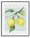 Stupell Industries Sorrento Lemon Branch Framed Giclee Art