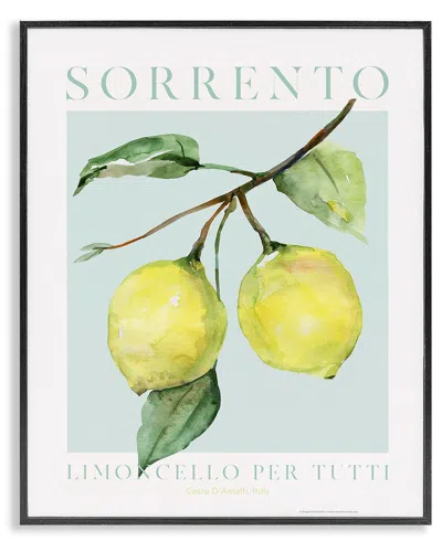 STUPELL STUPELL SORRENTO LEMON BRANCH FRAMED GICLEE ART