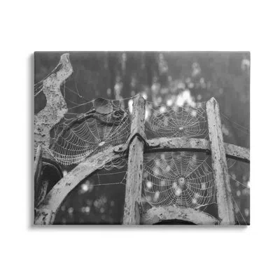 Stupell Industries Spooky Spider Webs Rustic Monochrome Gate By Daphne Polselli - Floater Frame Photograph On Canvas In Wrapped Canvas
