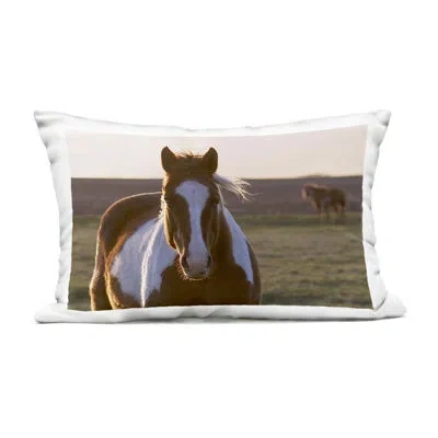 Stupell Industries Spotted Horse In Rural Countryside Design By Steve Toole Outdoor Printed Pillow In Brown