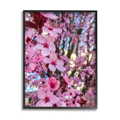 Stupell Industries Spring Cherry Blossom Tree Nature By Heidi Bannon - Floater Frame Photograph On Wood In Midnight Black Framed Giclee