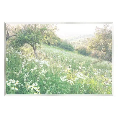 Stupell Industries Spring Meadow Grassland Field Giclee Art By Leah Straatsma In Wood